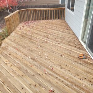 Prominent Painters - Deck Painting project